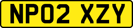 NP02XZY