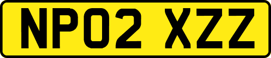 NP02XZZ