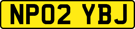 NP02YBJ