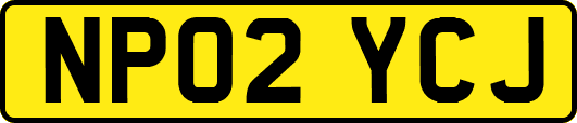 NP02YCJ