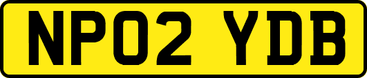NP02YDB