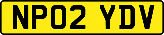 NP02YDV