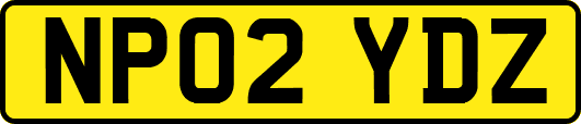 NP02YDZ