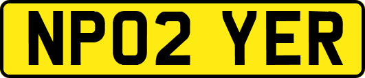 NP02YER