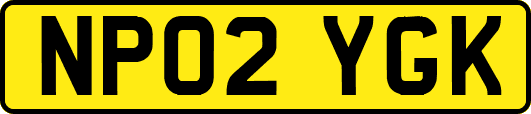 NP02YGK