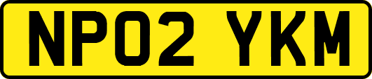 NP02YKM