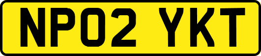 NP02YKT
