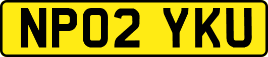 NP02YKU