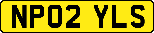NP02YLS