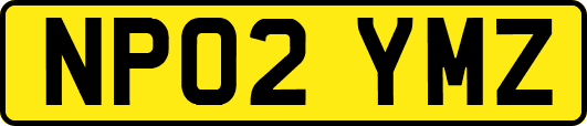 NP02YMZ