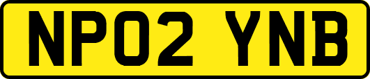 NP02YNB