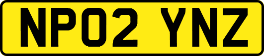 NP02YNZ