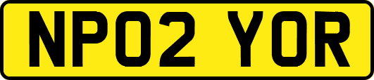 NP02YOR