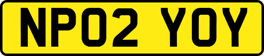 NP02YOY