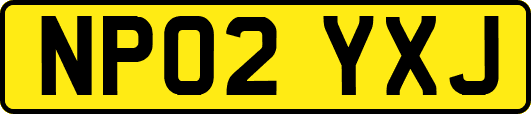 NP02YXJ
