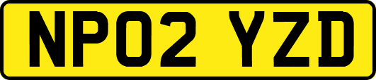 NP02YZD