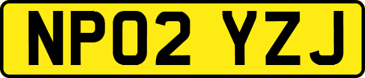 NP02YZJ