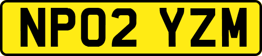 NP02YZM