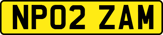 NP02ZAM