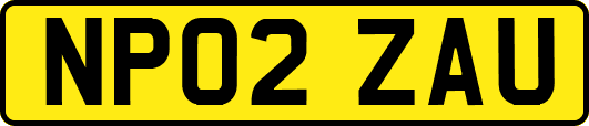 NP02ZAU