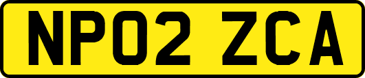 NP02ZCA