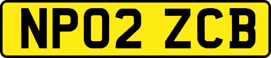 NP02ZCB