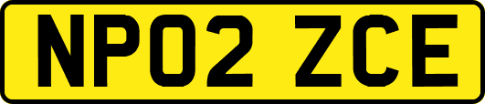 NP02ZCE