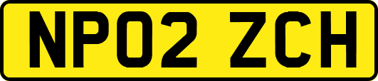 NP02ZCH