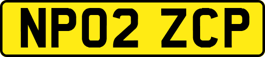 NP02ZCP