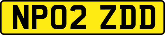 NP02ZDD