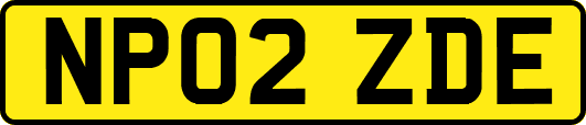 NP02ZDE