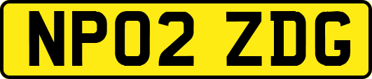 NP02ZDG