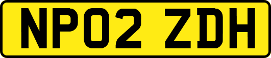 NP02ZDH
