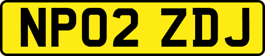NP02ZDJ