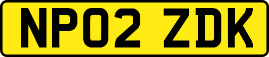 NP02ZDK