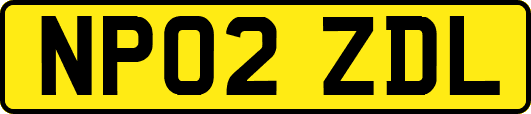 NP02ZDL
