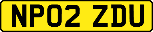 NP02ZDU