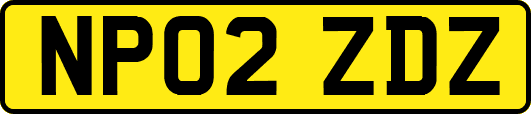 NP02ZDZ