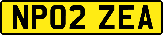 NP02ZEA