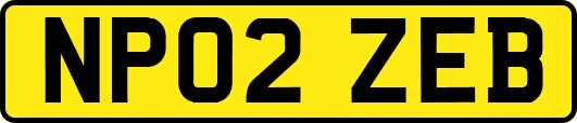 NP02ZEB