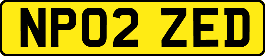 NP02ZED