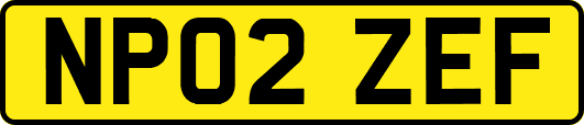 NP02ZEF