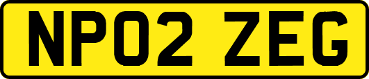 NP02ZEG
