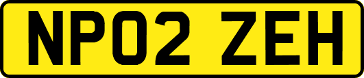 NP02ZEH