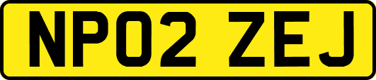 NP02ZEJ