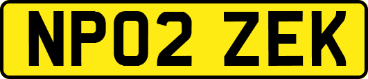 NP02ZEK