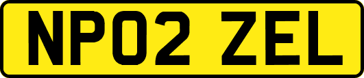 NP02ZEL