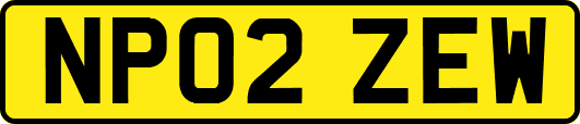 NP02ZEW