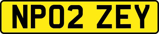 NP02ZEY