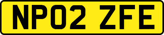 NP02ZFE
